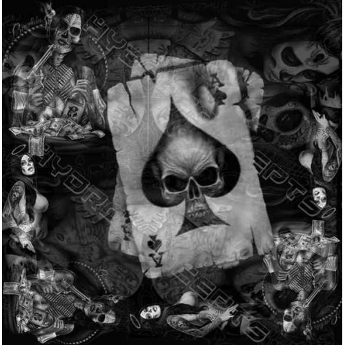 Ace Tattoo Girls hydrographics film Exclusive design