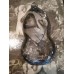 Ace Tattoo Girls hydrographics film Exclusive design