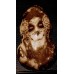 La Chica Lifebook Hydrographics Exclusive pattern
