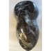 Flower Skulls Dead Hydrographics film exlusive