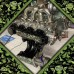 Angry Frogs Hydrographics film design print