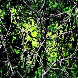 Toxic Moon Shine Camo hydrographics Film Exclusive