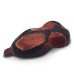 Boa snake Orange-Red skin