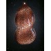 Animal Skin Leopard III Hydrographics Film